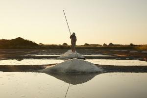 Les marais salants