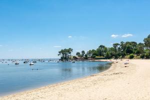 Le bassin d’Arcachon